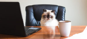 Content Writing Mistakes